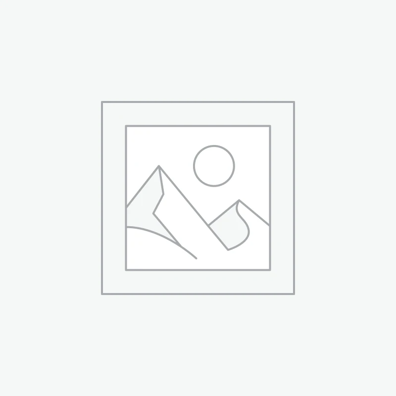 Féodales - Lorraine - Denier - Toul