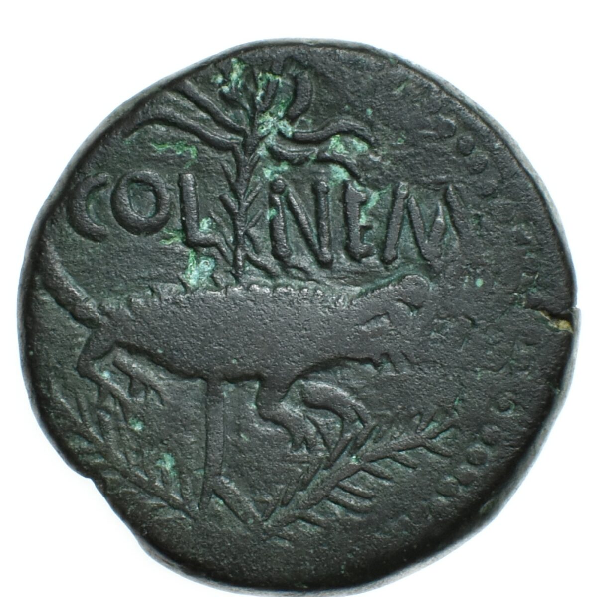 dupondius nimes contremarque revers 219