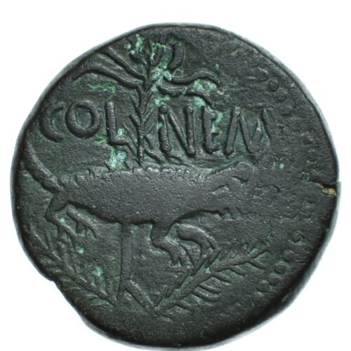 dupondius nimes contremarque revers 219
