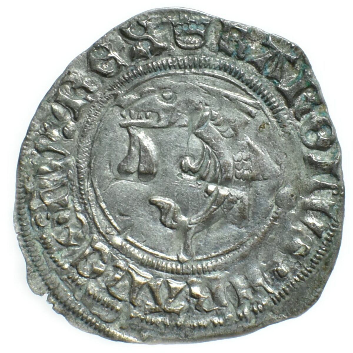 liard dauphin toulouse avers 087