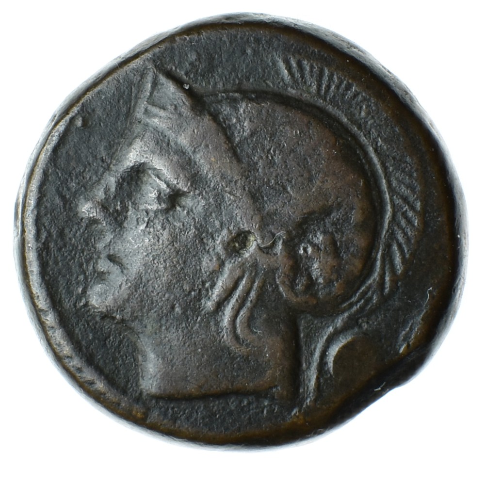 uncia rome avers 239