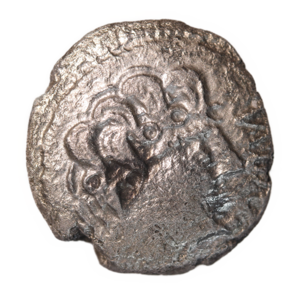Suessions - Denier - Type NIDE ALABRODIIOS