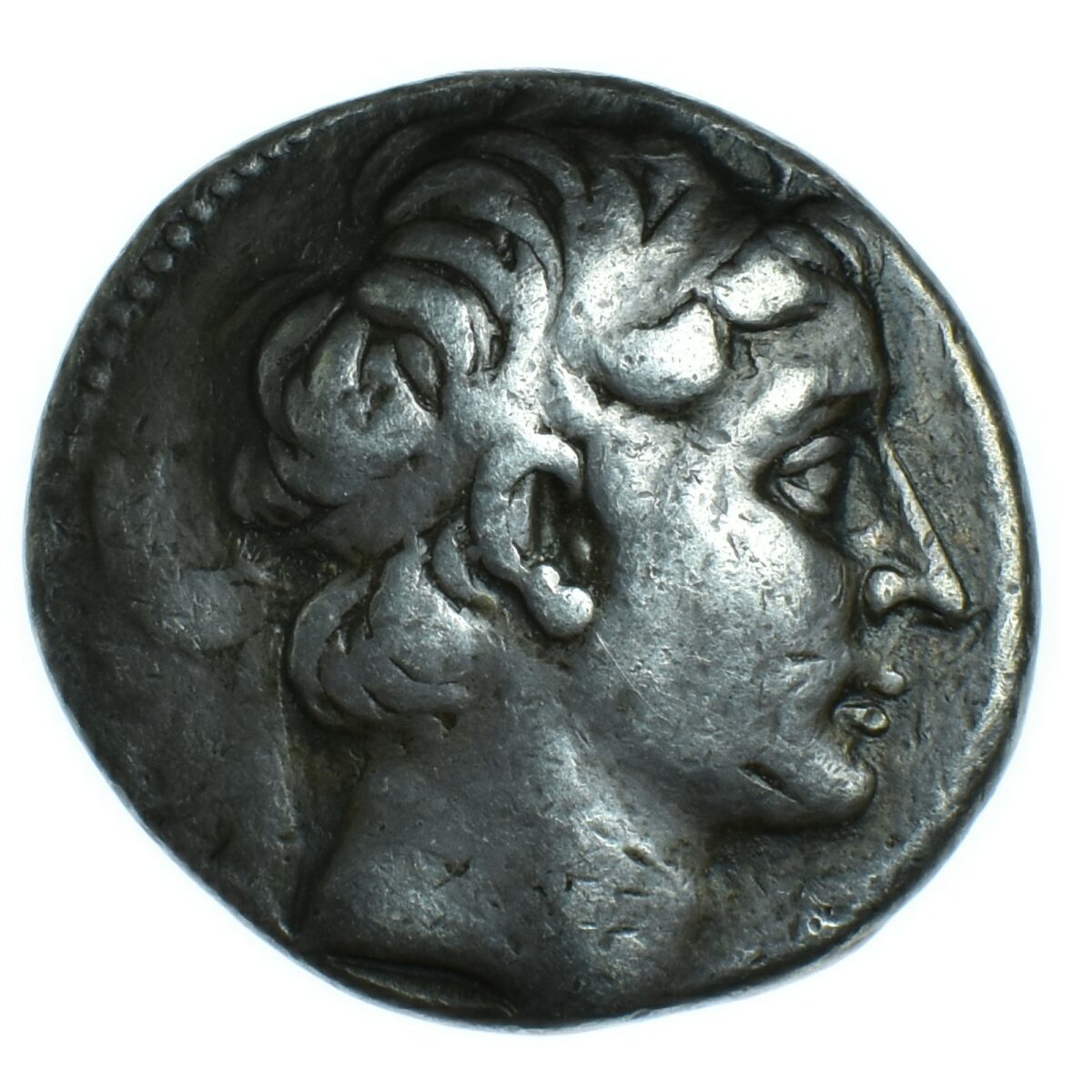 seleukos tetradrachme antioche avers 622