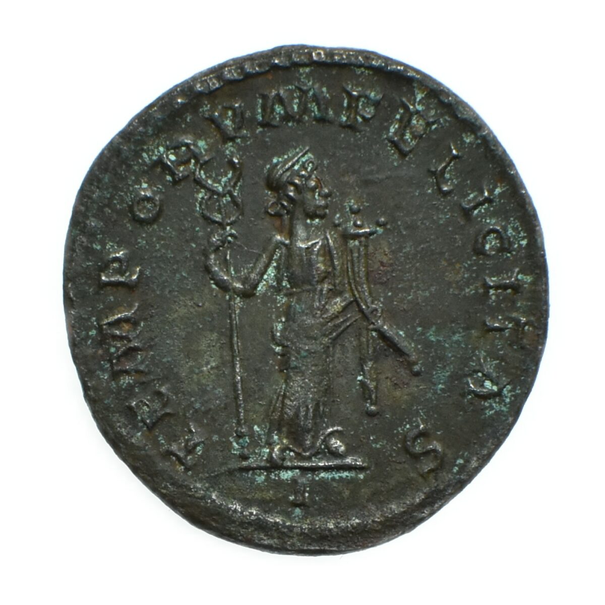 FLORIEN AURELIANUS REVERS