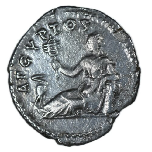 HADRIEN DENIER EGYPTE REVERS