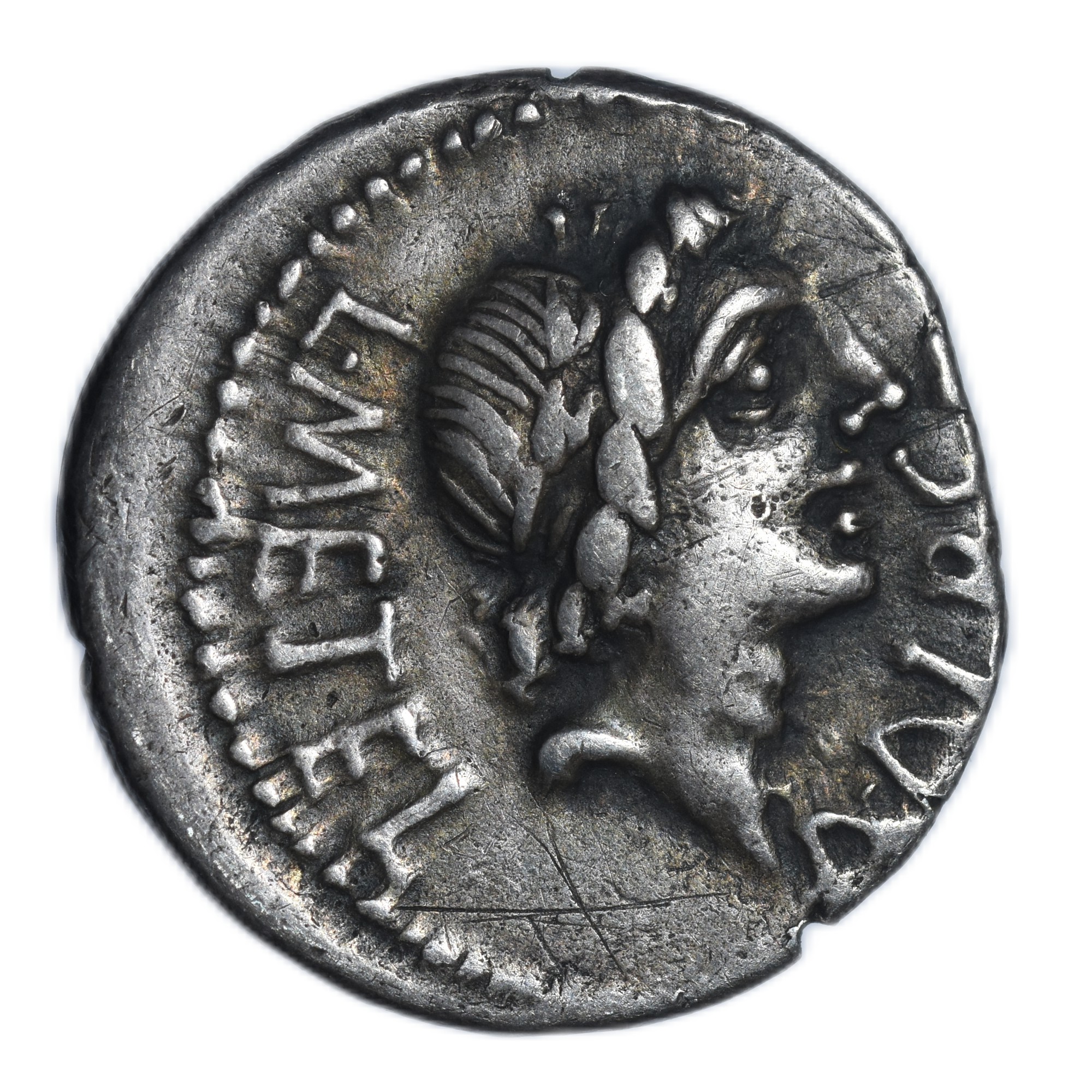 ROME REPUBLIQUE DENIER CAECILIA AVERS