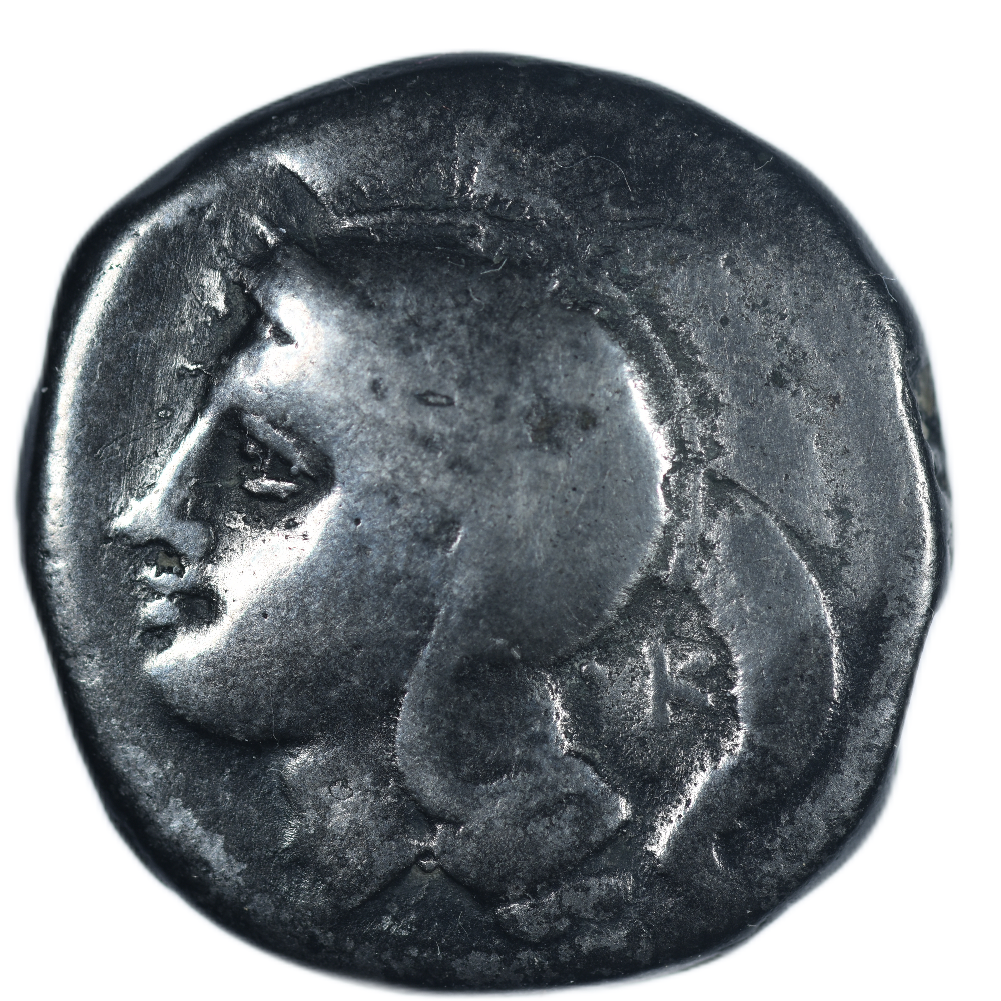 LUCANIE VELIA NOMOS AVERS