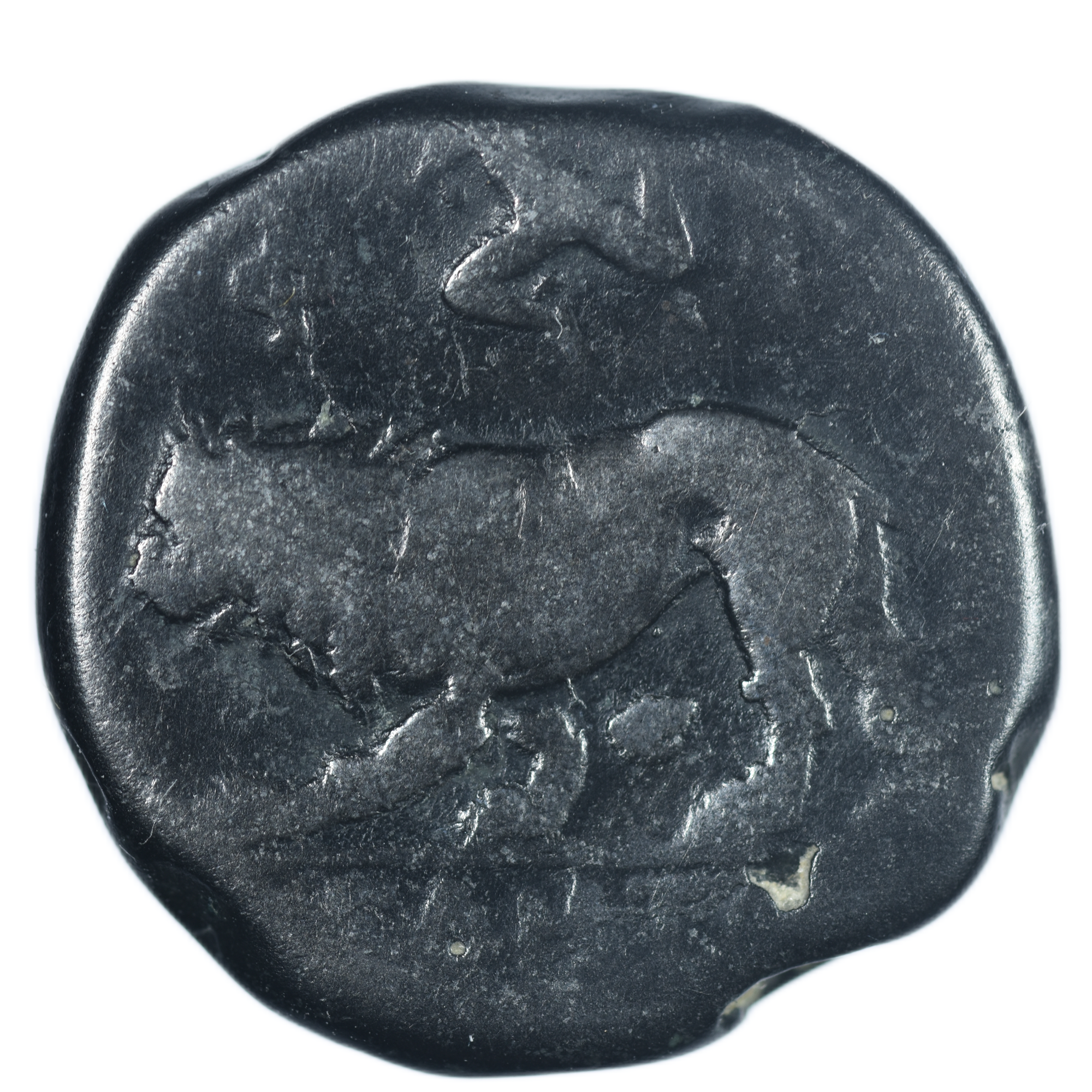 LUCANIE VELIA NOMOS REVERS