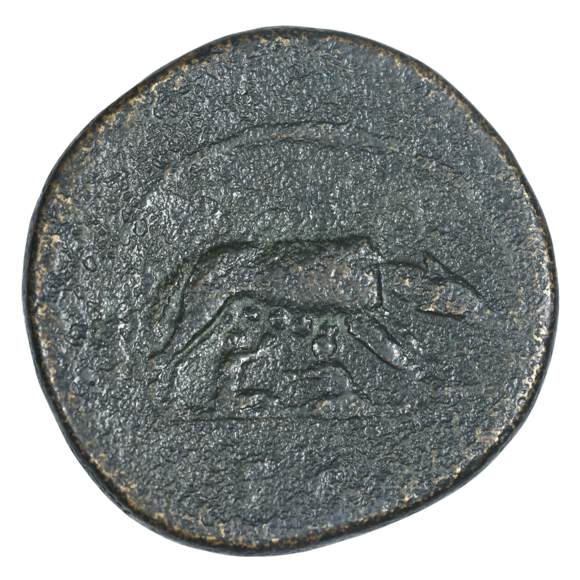 ANTONIN SESTERCE LOUVE REVERS