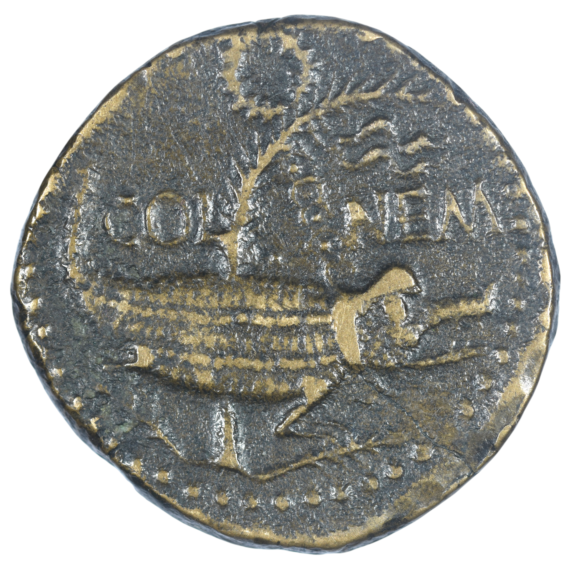 AUGUSTE AGRIPPA DUPONDIUS NIMES REVERS