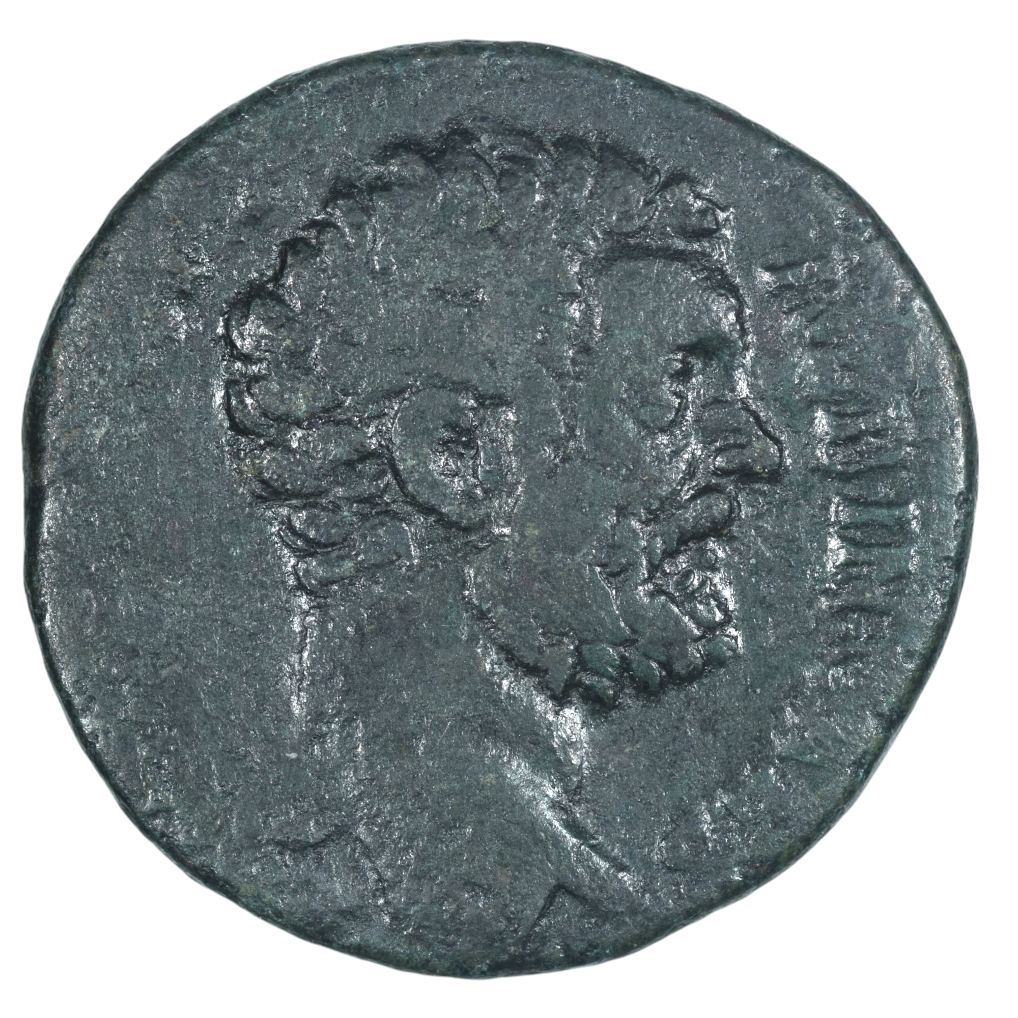 CLODIUS ALBINUS SESTERCE AVERS 2