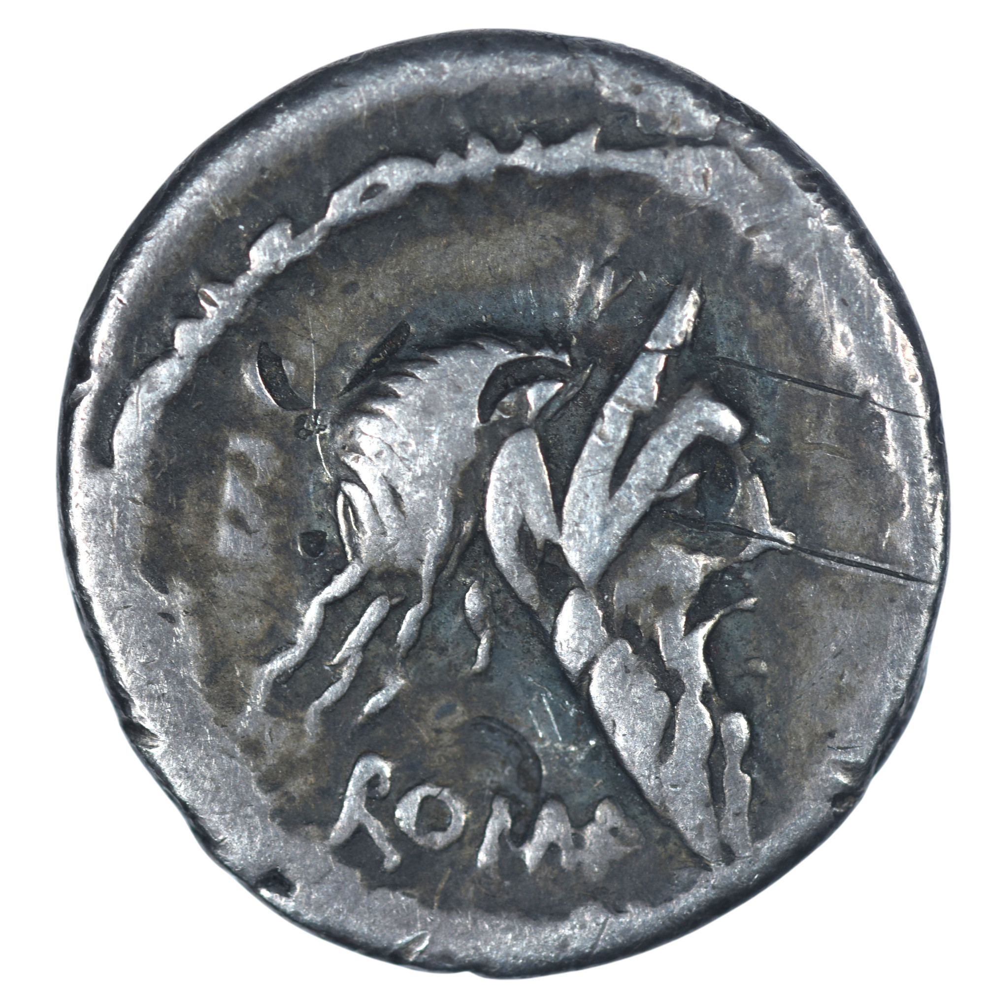 REPUBLIQUE ROMAINE JUNIA AVERS