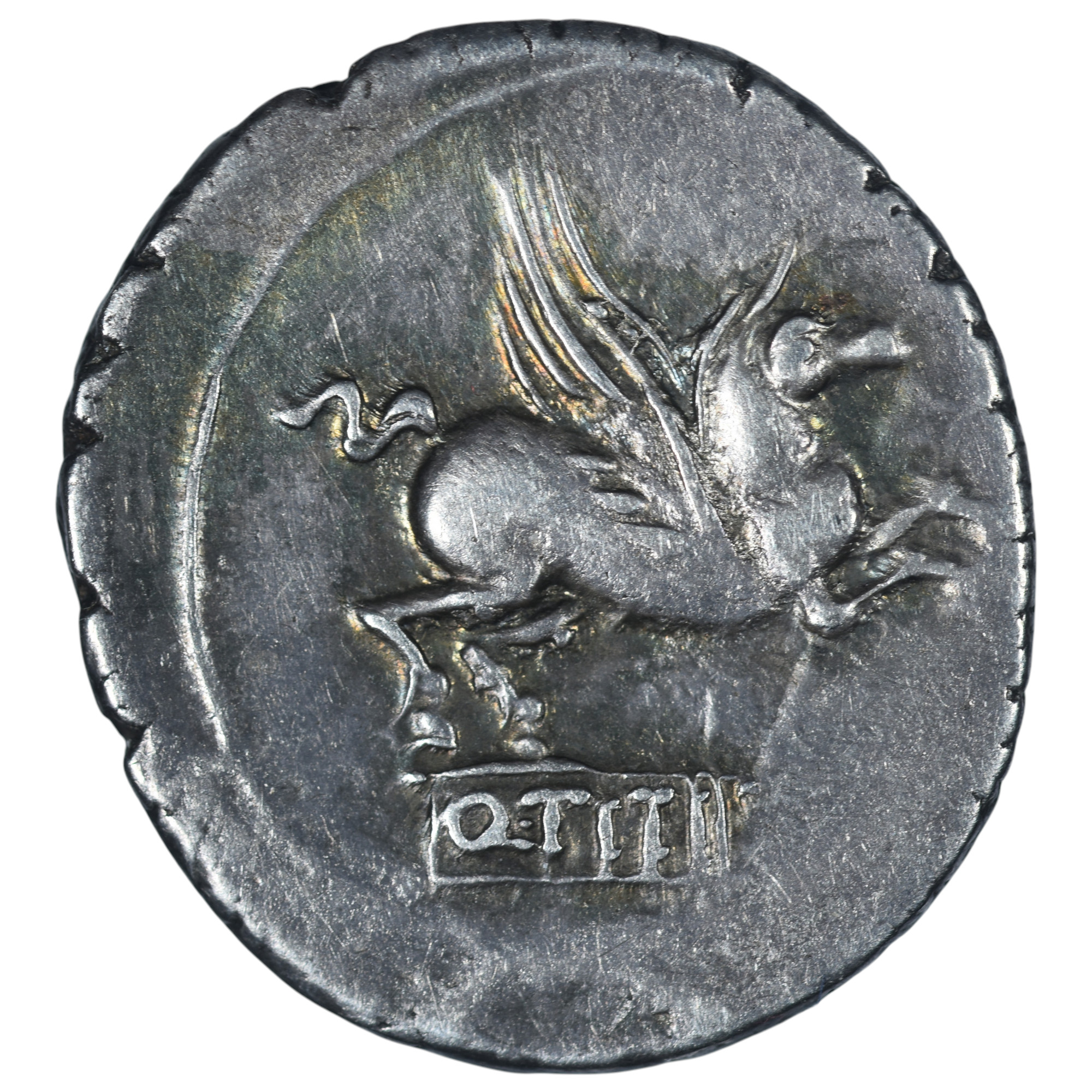 REPUBLIQUE ROMAINE TITIA REVERS 2