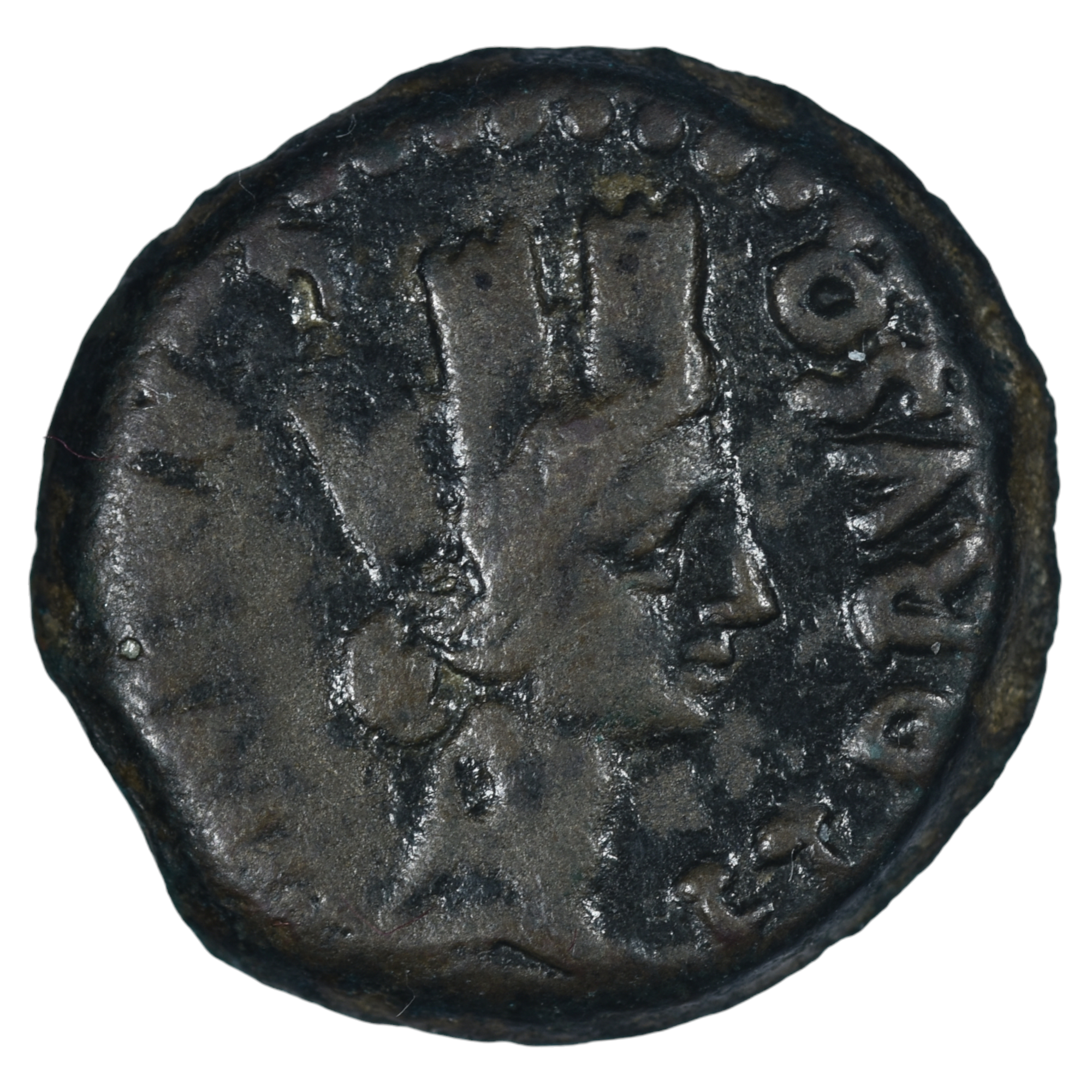 BETIQUE SEMIS CARTEIA AVERS