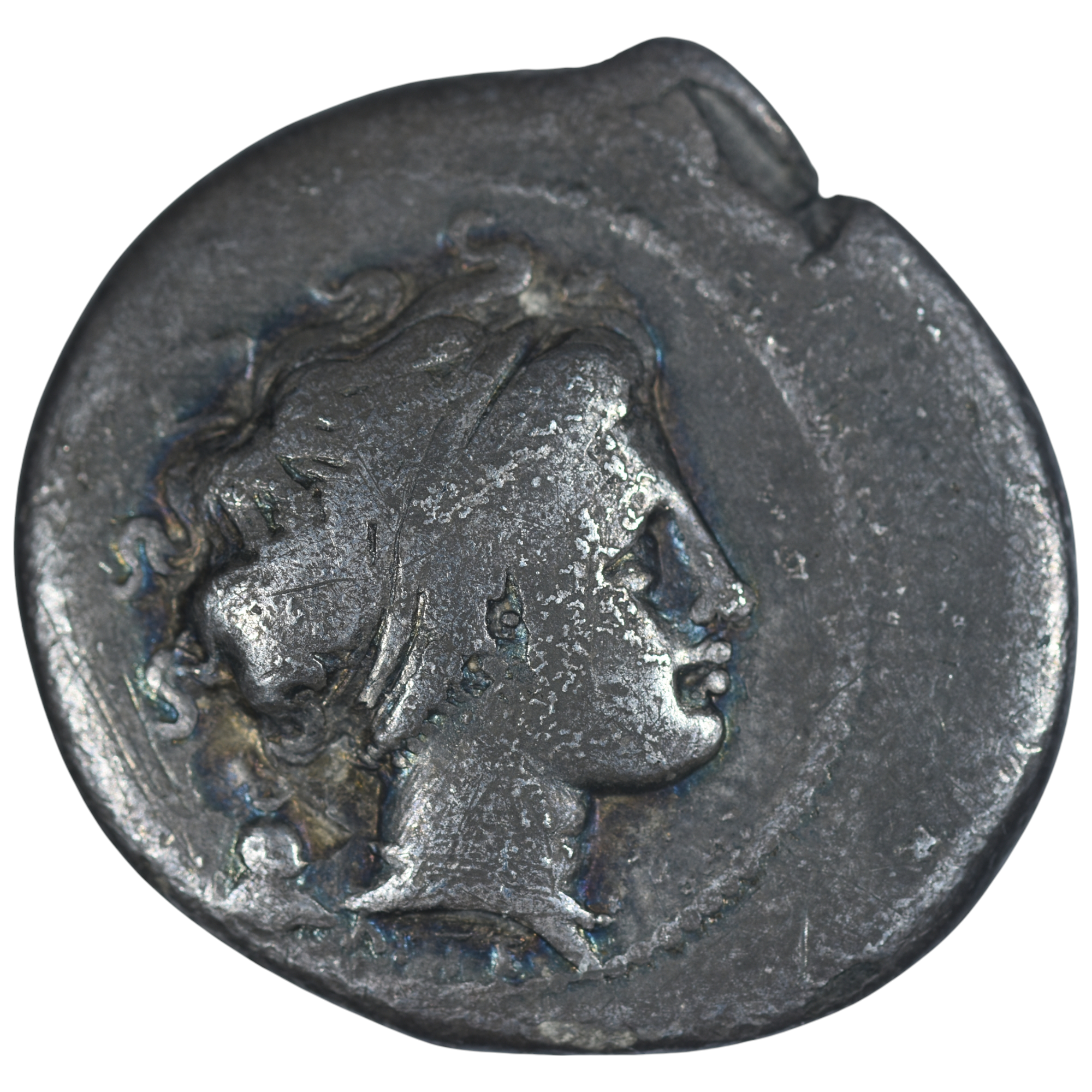 CAMPANIE DIDRACHME NAPLES AVERS