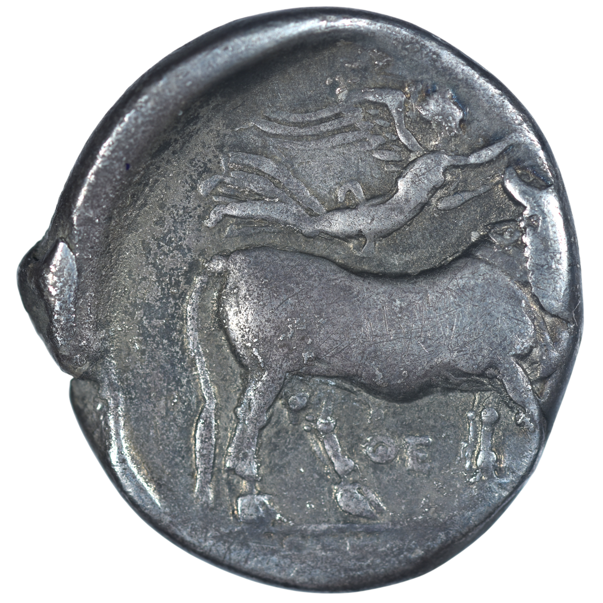 CAMPANIE DIDRACHME NAPLES REVERS