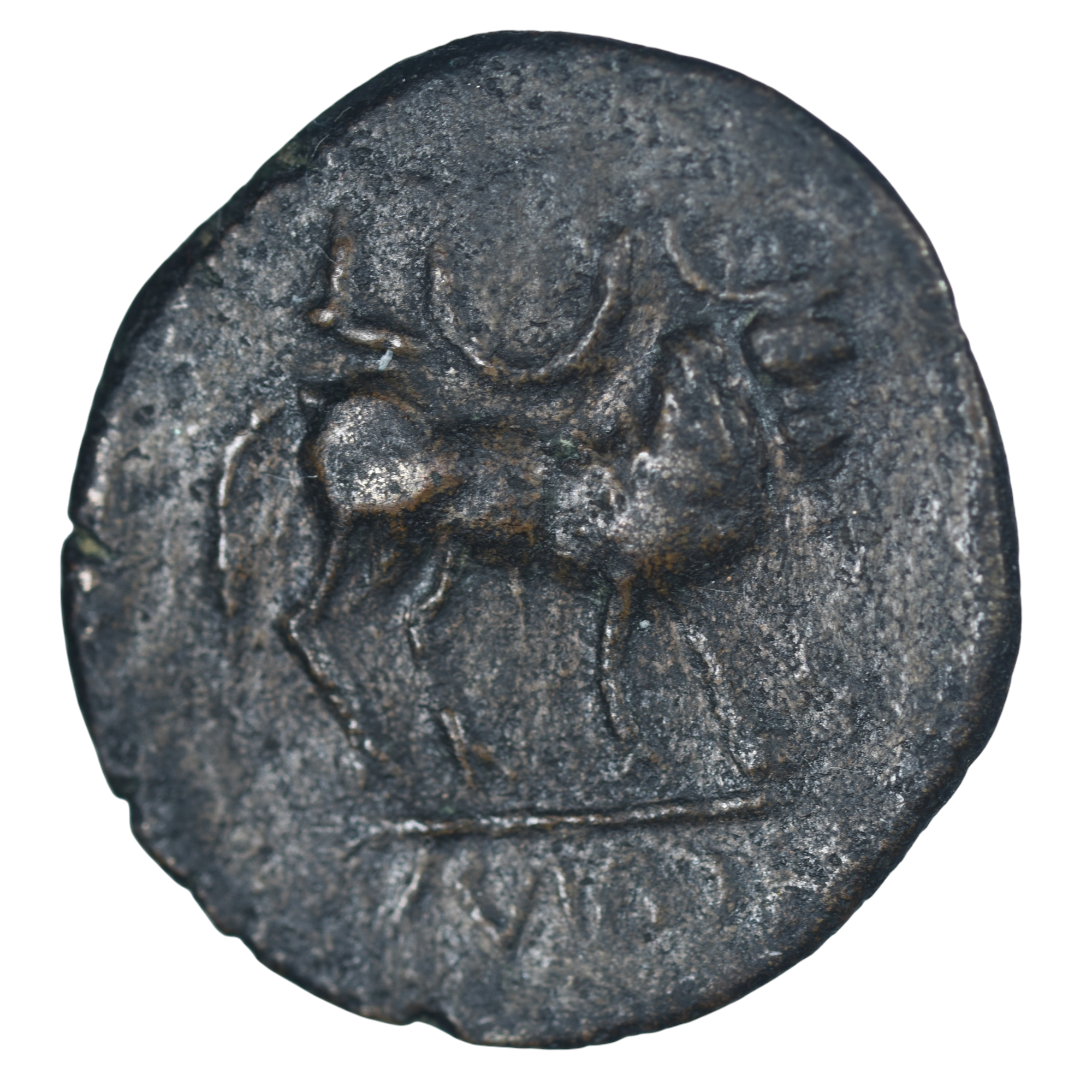 CELTIBERE SEMIS CASTULO REVERS