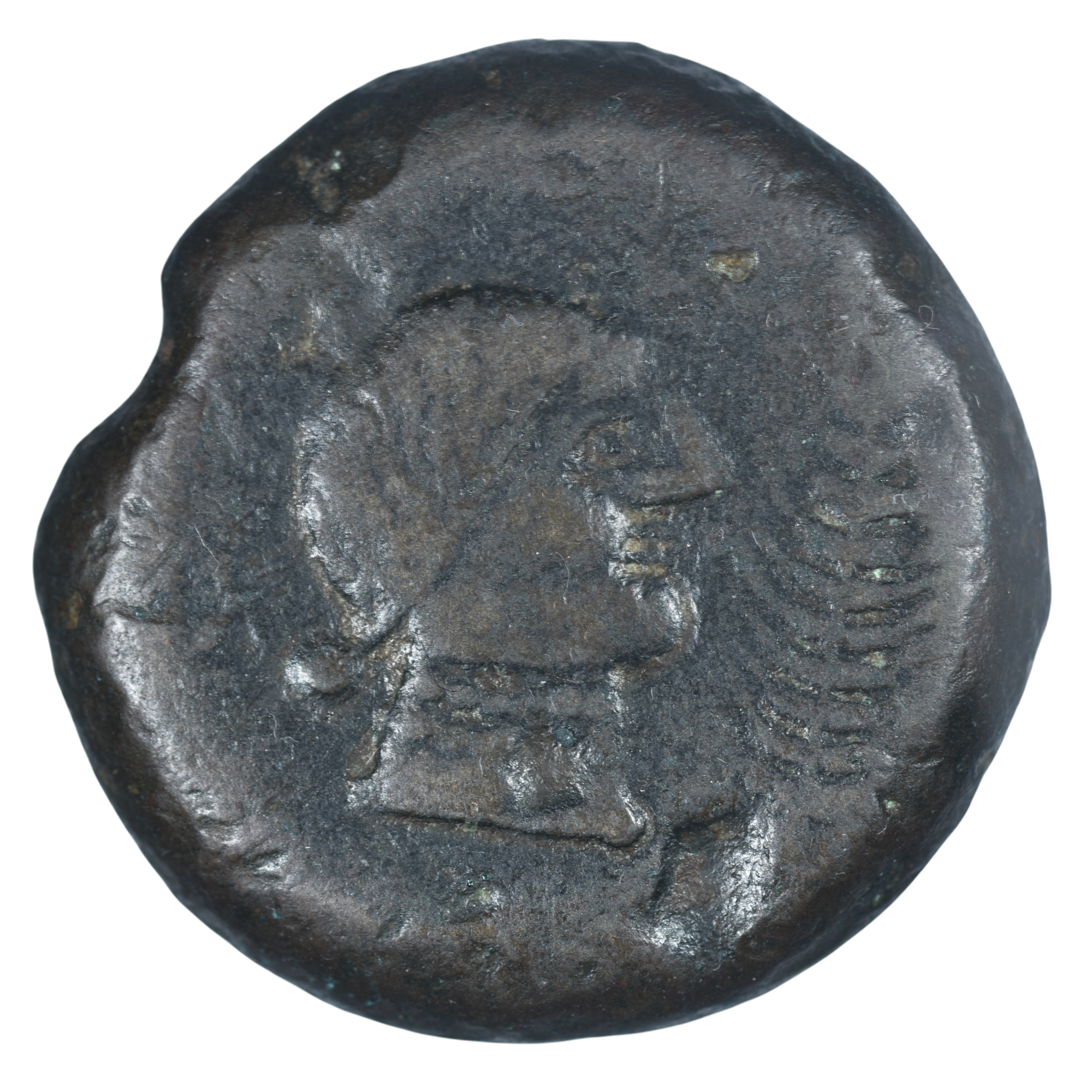 CELTIBERE UNITE ULIA AVERS