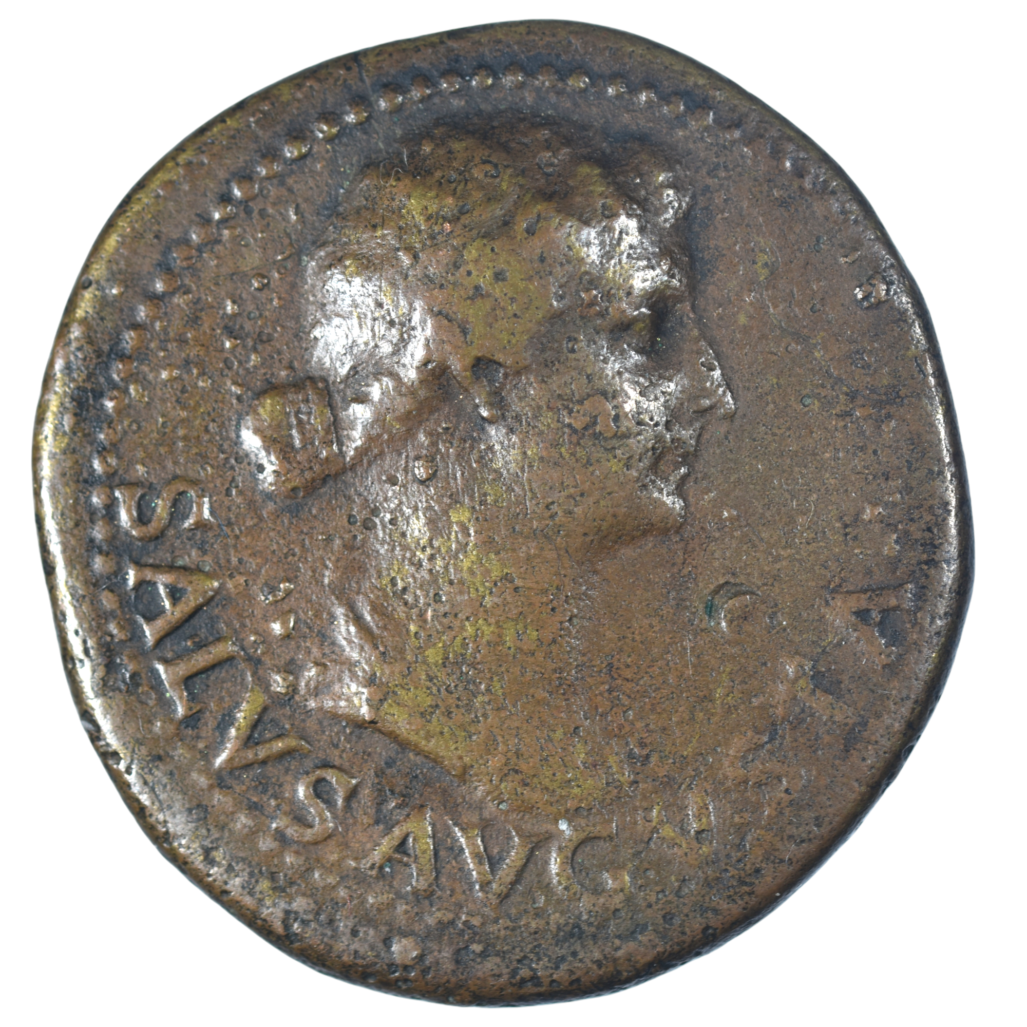 LIVIE DUPONDIUS AVERS