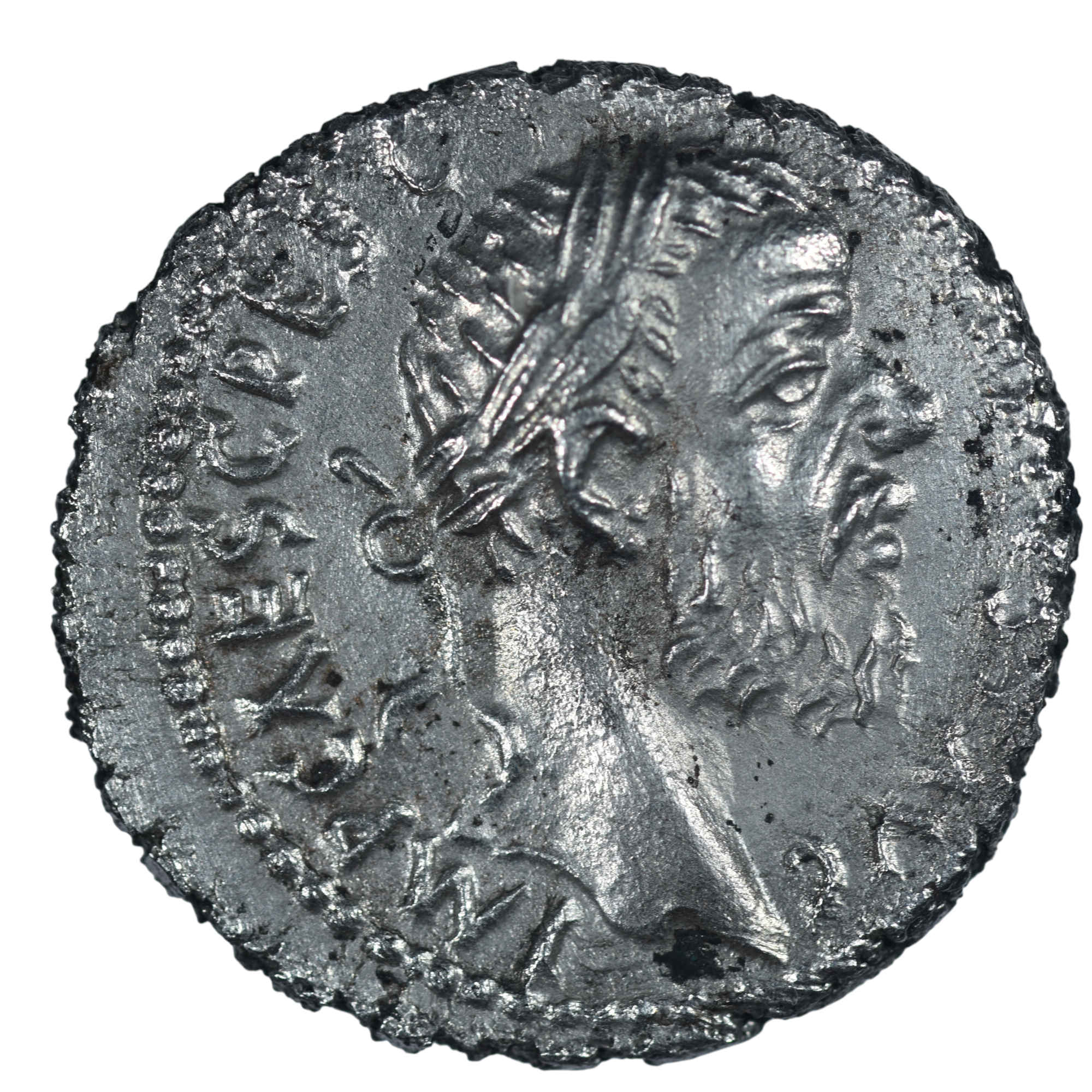 PESCENNIUS NIGER DENIER AVERS