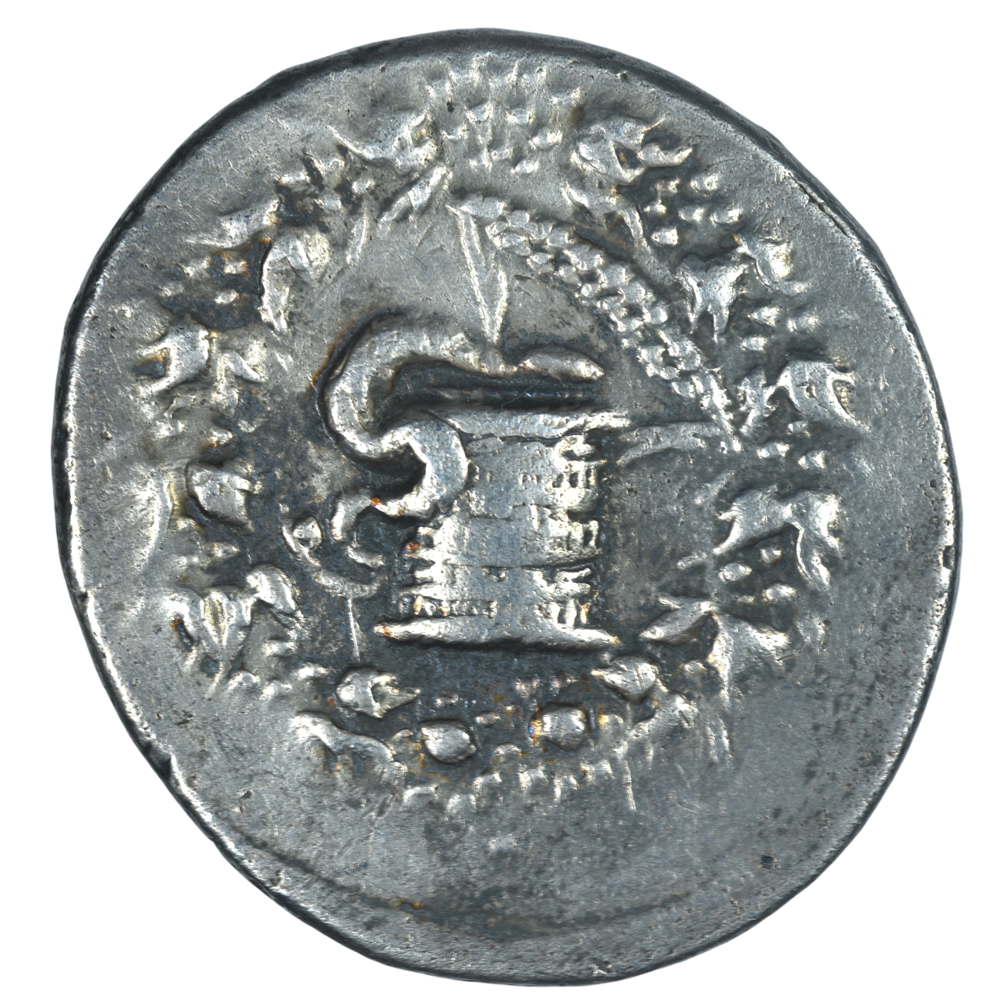 MYSIE PERGAME CISTOPHORE AVERS 4