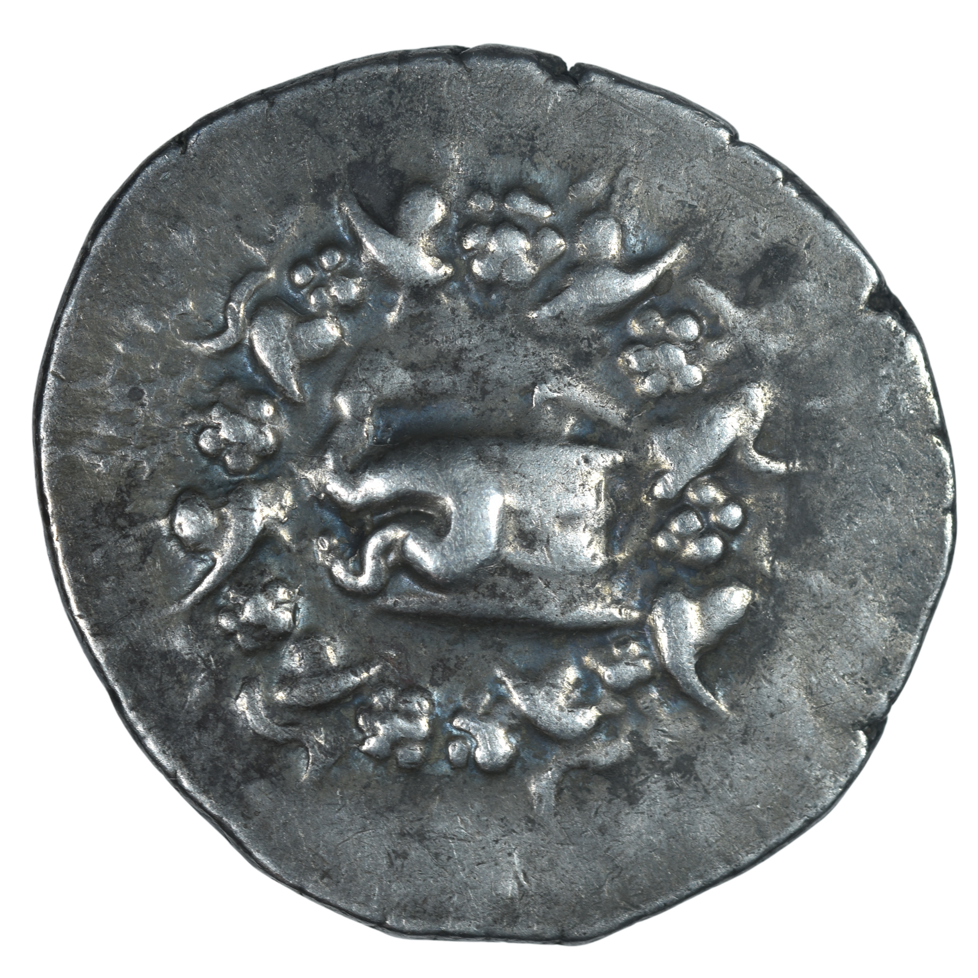 MYSIE PERGAME CISTOPHORE AVERS 7