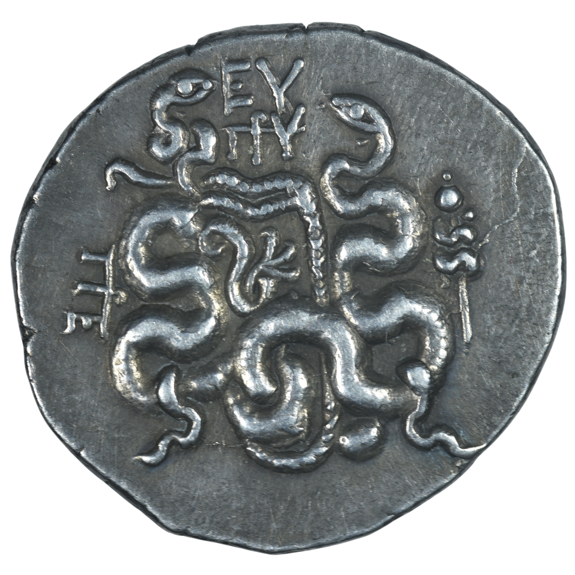 MYSIE PERGAME CISTOPHORE REVERS 7