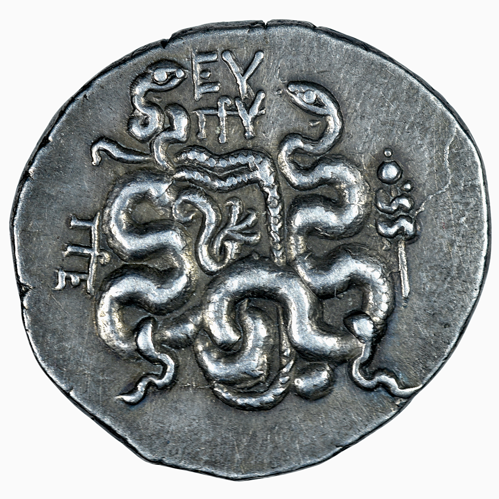 MYSIE CYZIQUE PERGAME CISTOPHORE REVERS