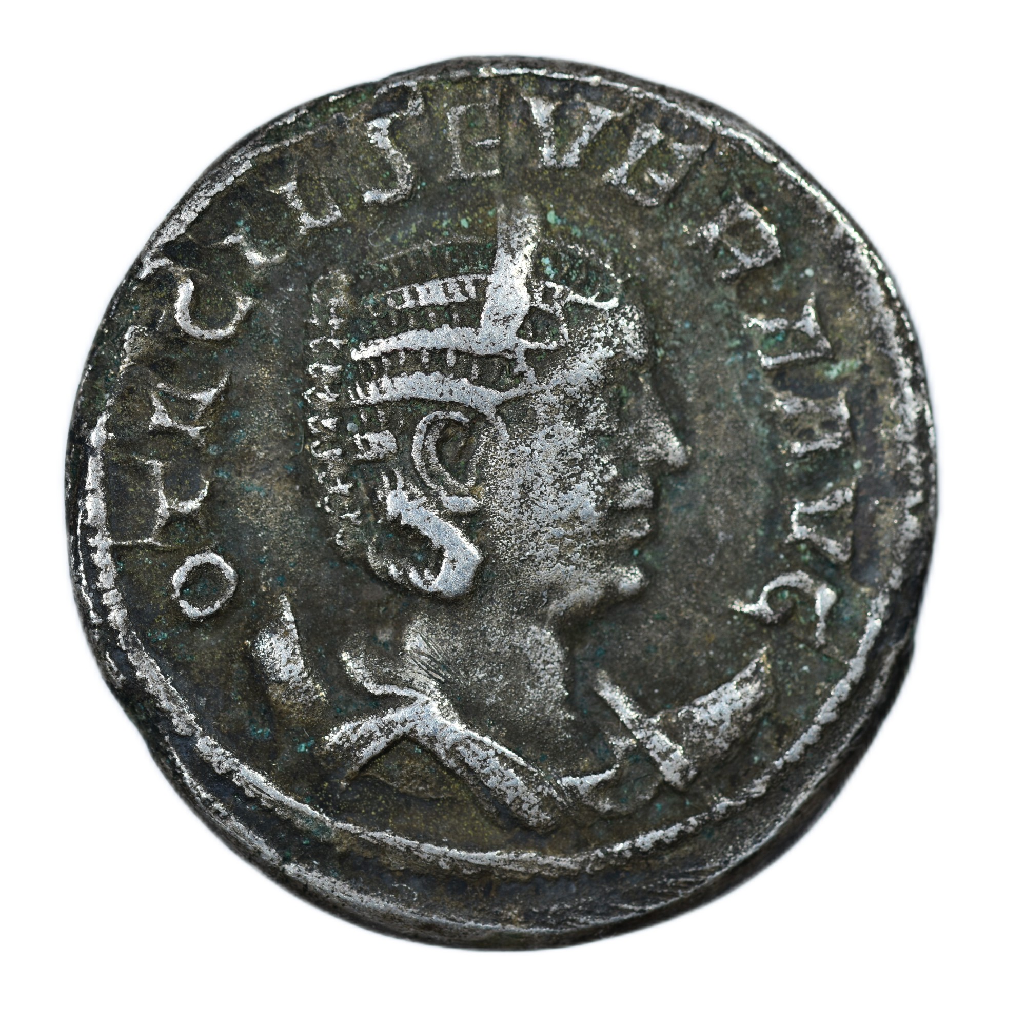 OTACILIA HIPPOPOTAME AVERS