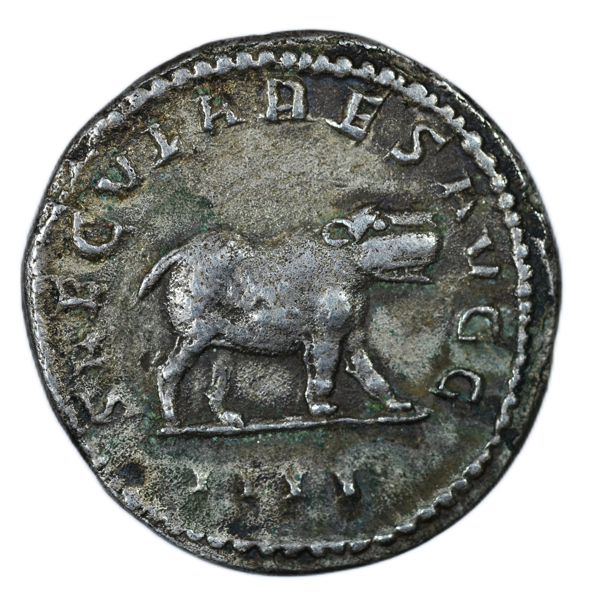 OTACILIA HIPPOPOTAME REVERS