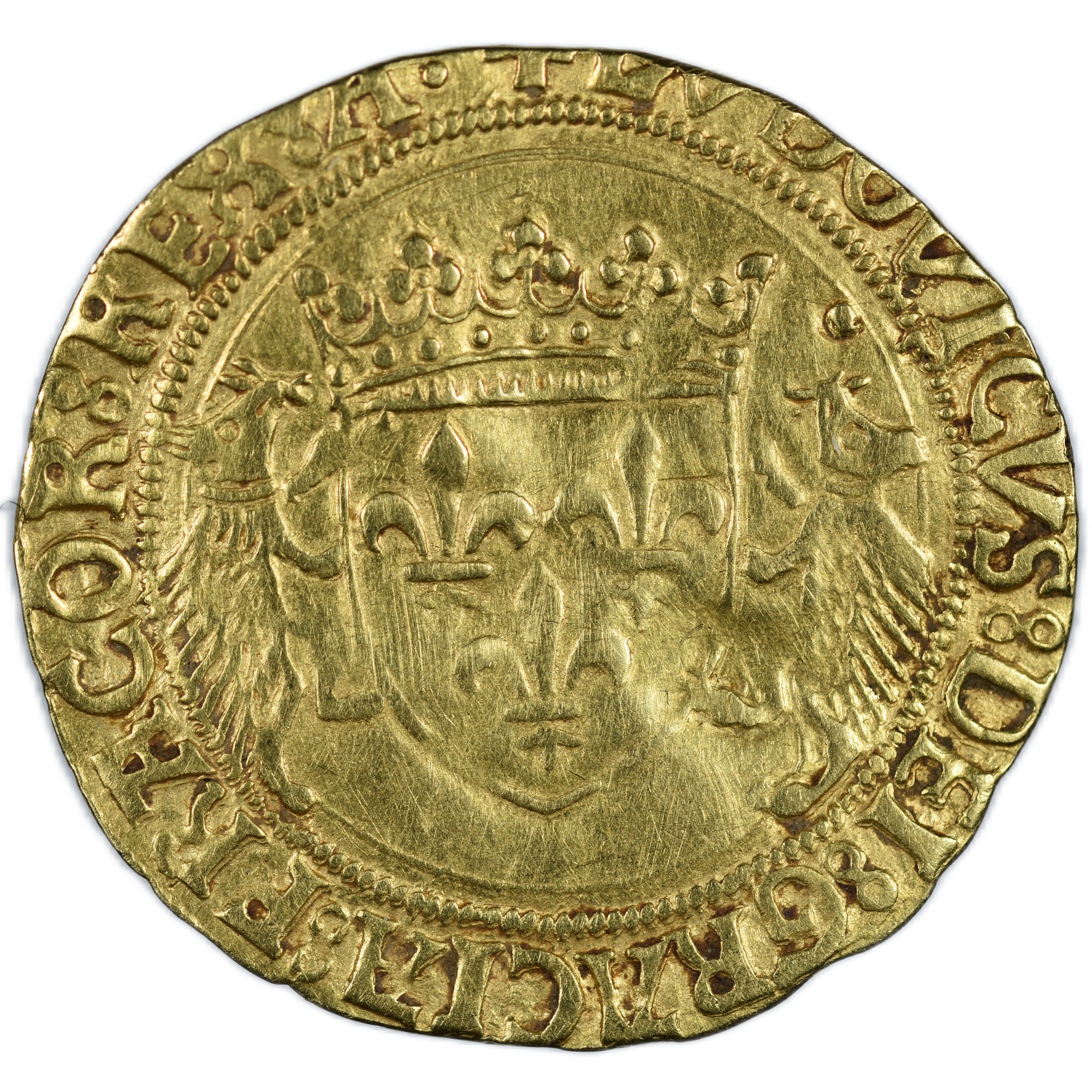 PORC EPIC TOULOUSE AVERS